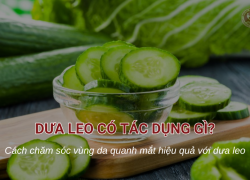 Dưa leo có tác dụng gì? Cách chăm sóc vùng da quanh mắt hiệu quả với dưa leo